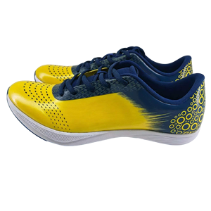 Chaussures à <span class=keywords><strong>pointes</strong></span> professionnelles pour la course à pied, hommes et femmes, légères, pour l'<span class=keywords><strong>athlétisme</strong></span>, la course de vitesse, les baskets à <span class=keywords><strong>pointes</strong></span> - Product Image 2
