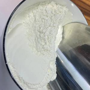 Pasokan pabrik bubuk Protein beras hidrolisasi dalam jumlah besar bubuk Protein nasi hidrolisasi organik bubuk Protein - Product Image 5