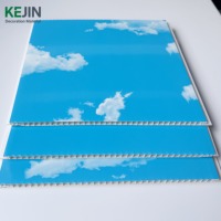 Panel de Techo de PVC Satinado Azul Cielo, Diseño Falso, Tablero de Techo de PVC, Lambris de PVC, Faux Plafond, Tiras de Techo