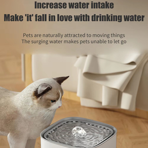 Bebedero para Gatos con Filtro de Recirculación Automática, Gran Capacidad, Dispensador de Agua Eléctrico USB Silencioso para Gatos - Product Image 2