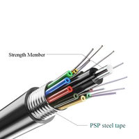 Cables de comunicación Fibra para exteriores GYTS 24 48 Core Cable de fibra óptica 96 hilos 144F para cable óptico enterrado directo