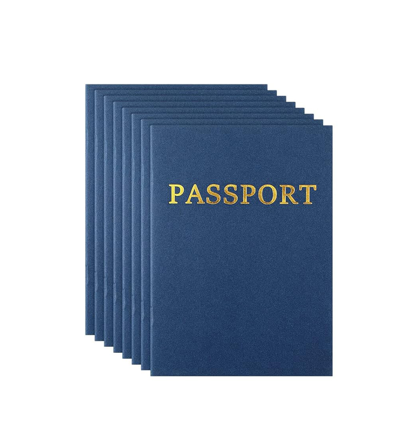 passport custom