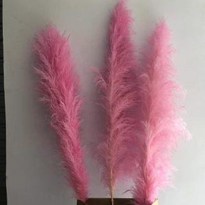 Graines de pampas rose vif, super grandes et longues, à plumes moelleuses, naturelles et séchées, pour mariage, fête des mères, remise de diplôme - Product Image 4