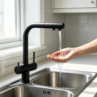 Robinet de cuisine d'hôtel noir mat à double poignée, avec filtre à eau, valve en céramique, corps en laiton rotatif, bec extractible