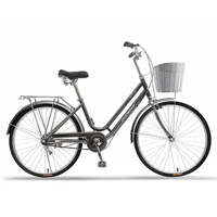 Bicicleta clásica de ciudad para mujer y hombre, 26 pulgadas, personalizada, vintage, para compartir bicicleta, para adulto, OEM, 2022