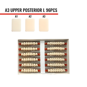 Dientes de Resina Sintética A1 A2 A3, Dientes Postizos Acrílicos para Laboratorio Dental, <span class=keywords><strong>Dentadura</strong></span> Postiza Extraíble <span class=keywords><strong>Superior</strong></span> e Inferior - Product Image 5