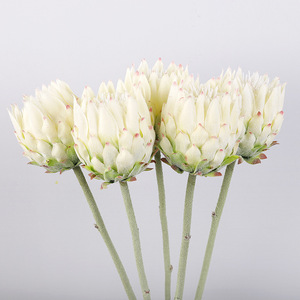 Fleur artificielle nordique unique en plastique et soie, haute simulation, pour décoration de mariage et de maison - Product Image 1