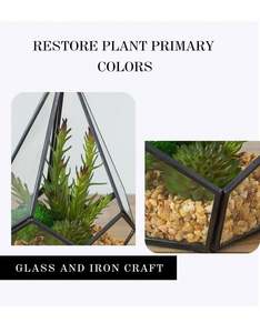 Bombilla <span class=keywords><strong>de</strong></span> lámpara <span class=keywords><strong>de</strong></span> vidrio para colgar en la pared, plantas suculentas artificiales <span class=keywords><strong>de</strong></span> Aloe y suculentas, venta al por mayor - Product Image 4