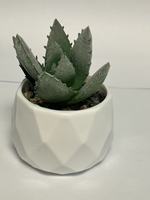 Buatan tangan Mini simulasi sukulen bunga pot tanaman kecil Desktop untuk kantor grosir bunga