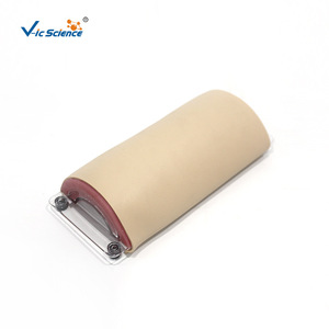 Modèle de peau humaine simulée pour usage médical, avec couches claires, durable et adapté à la pratique des incisions chirurgicales. - Product Image 5