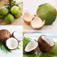 Machine automatique pour défibreur de noix de coco, machine à couper les noix de coco fraîches vertes, machine à couper les noix de coco jeunes en deux moitiés