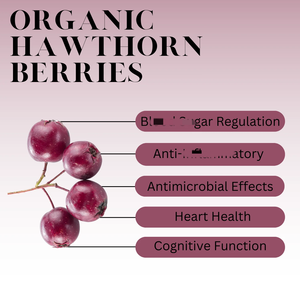 Polvo de Jugo de Espino <span class=keywords><strong>100</strong></span>% Puro y <span class=keywords><strong>Natural</strong></span>, Extracto de Fruta de Espino en Polvo, Polvo de Espino - Product Image 5