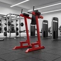 Station de dips verticale Alpha en acier inoxydable pour musculation à domicile, équipement de gym commercial en gros avec logo personnalisé