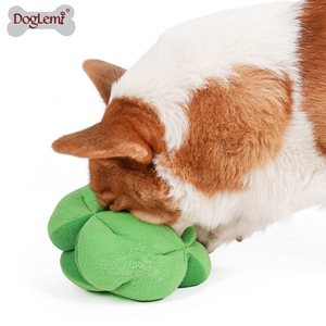 Lüks brokoli şekilli interaktif köpek oyuncak yumuşak polar kumaş orta köpekler için basit ama şık Pet aksesuar paketlenmiş karton - Product Image 2