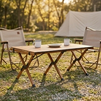 Table pliante en aluminium pour le camping