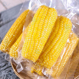 Machine d'emballage sous vide haute efficacité pour poisson fumé, haricots, riz, viande, emballage sous vide durable - Product Image 3