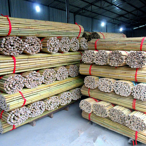 Cheap Price High Quality Bamboo Sticks for <b>Garden</b> & Outdoor Camping 100% Natural Bamboo Eco-Friendly Eco2go Vietnam - Product Image 3