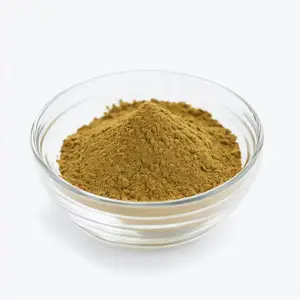 Hete Verkoop Natuurlijke Kruidenextract 24% Flavonen Ginkgo Biloba Leaf Extract Poeder Ginkgo Biloba Bladextract