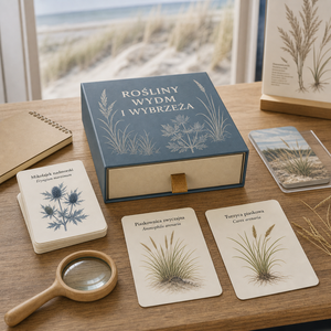 Maßgefertigte Umweltfreundliche Langlebige Familien-Lernkarten Matt Beschichtetes Papier Stabile Design-Papierbox-Verpackung für die Ostseeküste - Product Image 5