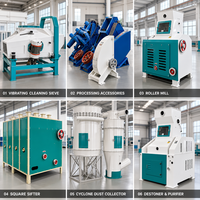 Machine de traitement de la farine de maïs à haute efficacité 5T/jour avec moteur et roulements, équipement de mouture