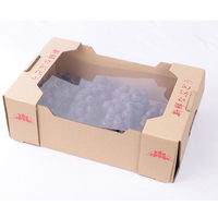Fabricant de boîtes en carton personnalisées pour fruits et légumes, livraison en gros d'usine, emballage en carton A4