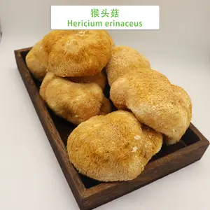 Wholesale Price Of 1kg Lion's Mane Mushroom High Quality Hericium Erinaceus Bulk Dried Lions Mane Mushrooms For Sale