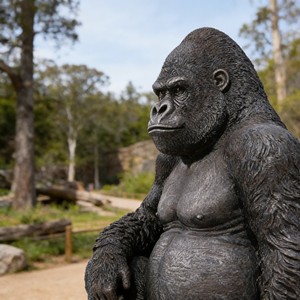 Statue de gorille grandeur nature en résine de fibre de verre, statues d'<span class=keywords><strong>animaux</strong></span> africains, sculpture de singe, <span class=keywords><strong>animaux</strong></span> de la jungle pour accessoires - Product Image 5