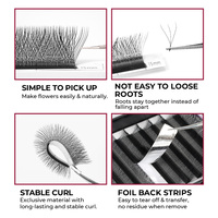 Premade Wispy Fan Lashes Russie Volume Fans Extension de cils 3D/4D/5D Sandwich individuel Faux vison Spike Lash Cluster