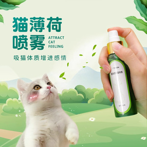 Spray líquido con catnip para atraer gatitos, un juguete para provocar gatos, un juguete para jugar con gatos, un elemento esencial para la crianza de gatos y una guía completa para el cuidado de gatos. - Product Image 3