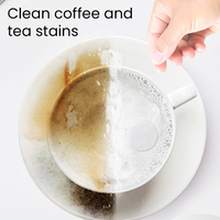 Comprimé détartrant pour théière, comprimé nettoyant pour bouteille en verre, réservoir d'eau, produit chimique anti-tartre pour la maison, élimine les taches et le tartre