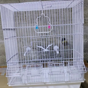 Draagbare Grote Tweepersoonskamer Kanarie Duif Kooi Metalen Vogel Kooi Jaulas Para Pajaros Mus Papegaai Kooi Klein Huisdier Huis Te Koop - Product Image 2