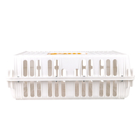 Volaille Plastique Poulet Poussin Poulet Poulet Couche Canard Pigeon Transport Cage Caisse Cas Boîte
