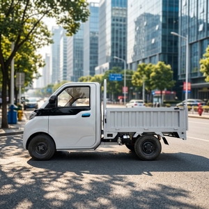 Véhicule électrique robuste personnalisé, camionnette électrique, voiture électrique à 4 roues, petit véhicule électrique - Product Image 1