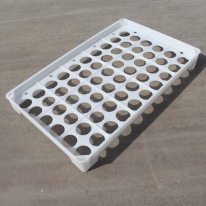 Hot <strong>Selling</strong> <strong>Plastic</strong> Egg <strong>Tray</strong> 60 Holes <strong>Plastic</strong> Egg Packing <strong>Tray</strong> Wholesale Price <strong>Plastic</strong> Chicken Egg <strong>Tray</strong> Incubator Hatching <strong>Tray</strong> - Product Image 4