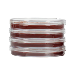 Placa de Petri End Peak Bio de 90 mm, estéril, con medio de agar MacConkey para uso en laboratorio - Product Image 2