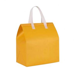 Custom Logo Size Disposable Insulated Cooler Bag for Picnic Camping Lunch Insulated Cooler Bag for Coffee <b>Tea</b> Ice Cream - Product Image 4