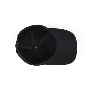 Gorra de Béisbol de Algodón de Alta Calidad con Cierre a Presión, Diseño 'Protect Me From What I Want', para Hombres y Mujeres Adultos, Servicio OEM - Product Image 4
