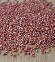 Graines de sésame rouge séchées traditionnelles de qualité supérieure, provenant du Shandong, Chine. Herbes et épices individuelles prêtes à consommer. Date d'expiration 12