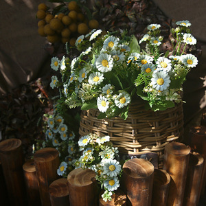 Bouquet de marguerites en soie artificielle, décoration réaliste pour l'intérieur, fleurs pour arche de mariage, accessoires de photographie - Product Image 3