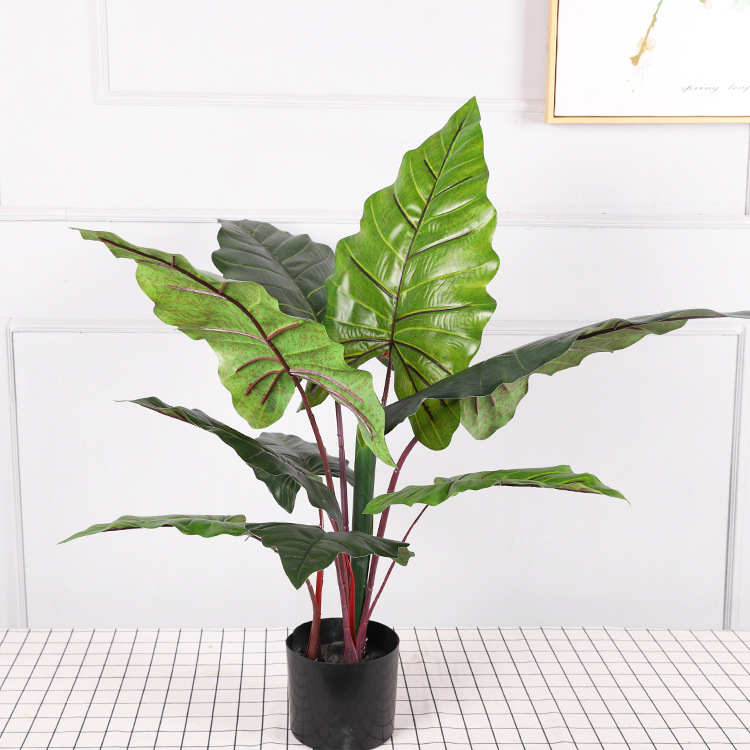 Árbol de hoja de taro arcoíris de 80 cm, 10 hojas a.