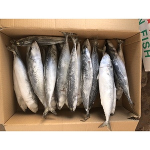 Sardinas Congeladas a Bajo <span class=keywords><strong>Precio</strong></span>, 6-7/9-10 Piezas/<span class=keywords><strong>kg</strong></span>, Venta al Por Mayor - Product Image 6