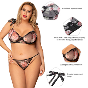 <span class=keywords><strong>Soutien</strong></span>-<span class=keywords><strong>gorge</strong></span> et culotte à armatures de haute qualité à imprimé floral ensemble de sous-vêtements 2 pièces <span class=keywords><strong>soutien</strong></span>-<span class=keywords><strong>gorge</strong></span> et slip sexy ensembles de lingerie pour femmes - Product Image 2