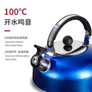 Bouilloire sifflante en acier inoxydable pour cuisinière, avec poignée ergonomique à prise froide - Product Image 4
