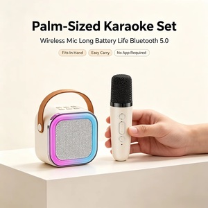 Altavoz de Karaoke con Bluetooth y Micrófono, Altavoz Bluetooth para Fiestas con Luz RGB, Marca Privada, OEM - Product Image 6