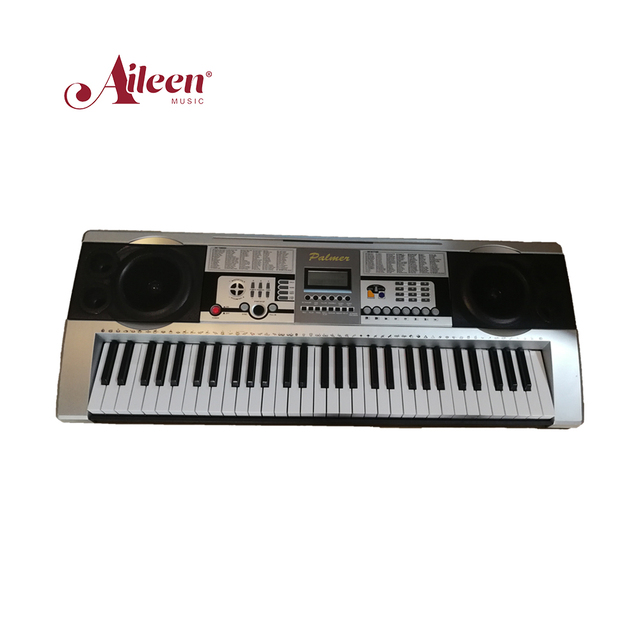 61-Key Electric Piano Keyboard Music Instrument From China (EK61204)
