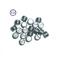 Vis sans tête à fente spéciale M2-0.25P * 6L pour accessoires de contrôle