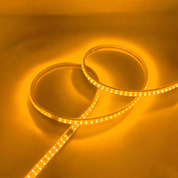 Liquidación de Stock: Tira de LED Impermeable 220V IP65 4000K 6000K, Precio de Fábrica, Oferta Especial, Envío Rápido