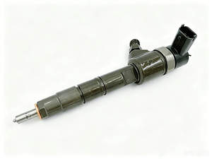 Injecteur Common Rail 0445110404 0445110293 0445110407 pour Bo Sh - Product Image 1