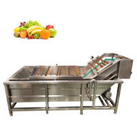 VBJX Multifunktionale Automatische Obst- und Gemüsewaschmaschine für Äpfel, Pomelos, Tomaten, Kartoffeln und Zwiebeln mit Blasentechnologie