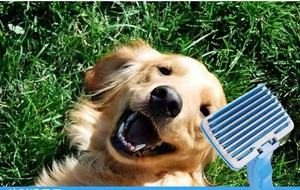 Herramientas de Aseo para Mascotas Ecológicas y Grandes, Peine Autolimpiante Profesional para Eliminar el Pelo y la Muda con Mango de ABS - Product Image 6